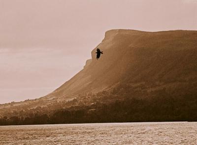 ben bulben crow